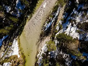 Forest Trees Prints: Drone flight over the Oetschergraeben canyon in Lower Austria in winter