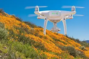Unmanned Aircraft Prints: Drone Flying Above California Poppies Landscape During the 2019 Super Bloom