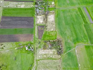 Idylli Prints: Drone footage captures a vibrant green field bordered by a dense thicket of trees