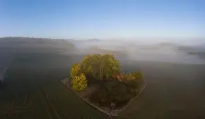 Nightmare Prints: Drone image of morning ground fog over fields in the German province of North Hesse near the village of Rhoden