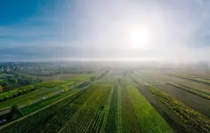 Slow Life Prints: A drone panoramic view of the stunning expanse of the Vosges foothills