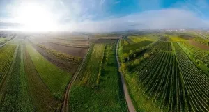 Slow Life Prints: A drone panoramic view of the stunning expanse of the Vosges foothills