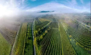 Slow Life Prints: A drone panoramic view of the stunning expanse of the Vosges foothills