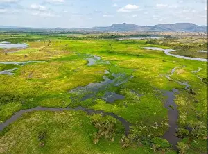Caiman Prints: Drone shot of the bright green flooded grasslands of the Pantanal in Brasil