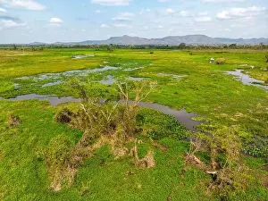 Caiman Prints: Drone shot of the bright green flooded grasslands of the Pantanal in Brasil