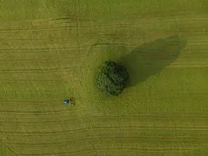 Mowing Prints: A drone shot of a tractor turning grass in a meadow near the Yorkshire Dales village of Malham