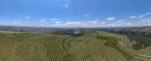 Kwazulu Natal Prints: Drone view at a agricultural field on Oribi gorge near Port Shepstone in South Africa