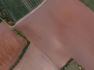 Drone view down on agriculture crop land with wheat fields and Vineyards