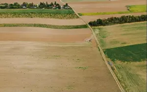 Vinery Prints: Drone view down on agriculture crop land with wheat fields Vineyards and Tractor