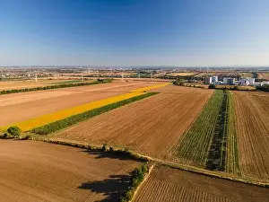 Vinery Prints: Drone view down on agriculture crop land with wheat fields and Vineyards in Vienna