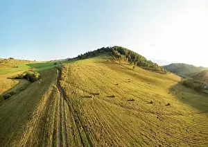 Drone view of autumn meadow hiils and forest. Aerial nature shot. Altai regoin, Russia