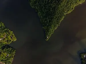 Thicket Prints: Drone view of calm winding lake streaming through hilly valley covered with dense forest