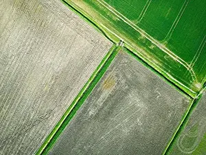Drone top down view of farm fields showing both fresh crops growing a muddy flood plains