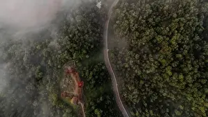 Top Down Prints: Drone view of Gauja national valley during early mornin with mist cover