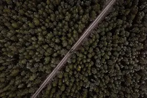 Drone view of lonely car driving along road in coniferous woods in winter in Scottish Highlands