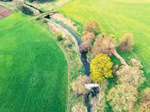 Tree Lined Prints: Drone view of marsh and a fresh inland water way famous for salmon