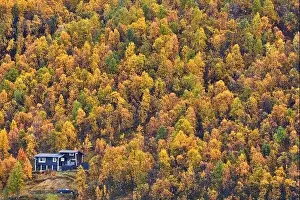 Northern Norway Prints: Drone view of picturesque landscape with lonely house located in autumn forest on hill in Northern Norway