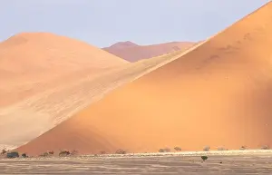 Uneven Prints: Drone view of sandy dune in dead huge desert with dried trees and cracked soil