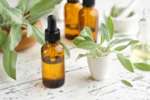 Remedy Prints: Dropper bottles of sage essential oil