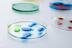 Informative Prints: Drops of colorful liquid on petri dishes