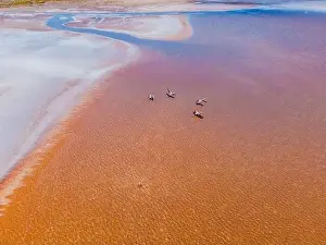 From above drove view of amazing pink salt lake and of shore in sunny summer day