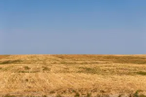 Almaty Prints: Dry Field in Southern Kazakhstan taken in August 2018 taken in hdr