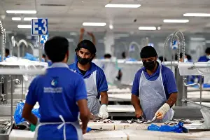 Group Of Persons Prints: Dubai Fish market. Workers cleaning fish. United Arab Emirates