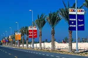 Arabian Peninsula Prints: Dubai UAE Media City Signs along a Palm Tree Lined Road