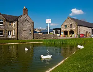 Dales Prints: The duck pond in Hartington village in the Peak District National Park Derbyshire England UK