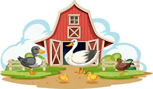 Farm Animals Prints: Ducks and ducklings by a red barn on a farm