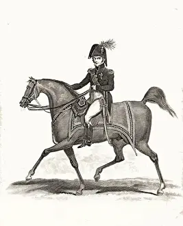 Wellington Prints: Duke of Wellington
