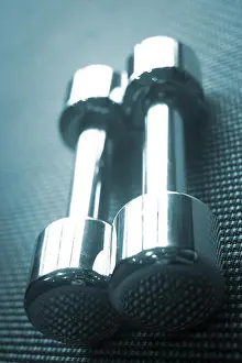Barbell Prints: Dumbbell gym metal weights in exercise room in sports bodybuilder gym health club fitness studio for bodybuilding