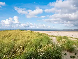 Cumulus Prints: Dunes and beach of Boschplaat on Terschelling island