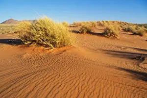 Kalahari Desert Prints: Dunes with gras in Kalahari Desert South Africa