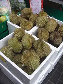 Tropical Fruit Prints: Durian fruit on sale Chinatown Soho London England