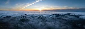 Aerial Landscape Collection: As dusk begins to fall, dense fog rolls over a forest of cedar