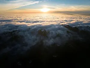 As dusk begins to fall, dense fog rolls over a forest of cedar and fir trees covering the many hills surrounding Portland, Oregon
