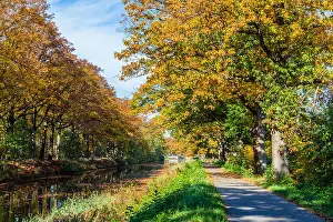 Channels Prints: Dutch channel in autumn colors