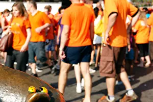 Dutch football soccer fans celebrating match victory world championship in streets of Rotterdam 2010 Netherlands