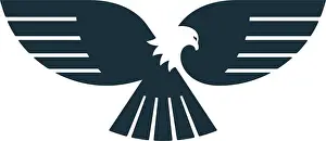 Eagle Prints: Eagle spread its wings and looking around. Eagle vector icon