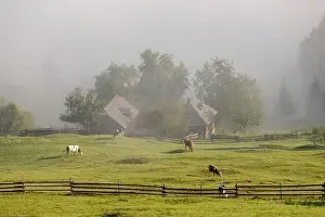 Sadova Prints: Early fall landscape in the beautiful Romanian villages