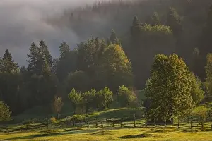 Sadova Prints: Early fall landscape in the beautiful Romanian villages