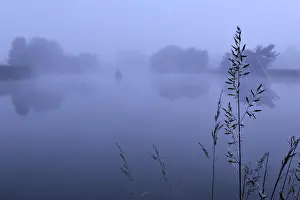 Silent Prints: Early foggy morning over the Blue Fog Blues pond