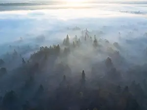 Willamette Valley Prints: Early morning fog drifts through the Willamette Valley in West Linn
