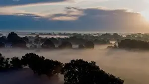 Airborne Imagery Prints: Early morning mist or fog creeping across the fields and woods near Emsworth in Hampshire