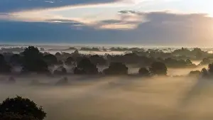 Airborne Imagery Prints: Early morning mist or fog creeping across the fields and woods near Emsworth in Hampshire