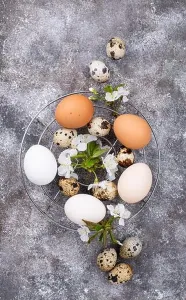 Cherry Prints: Easter concept. Chicken and quail eggs