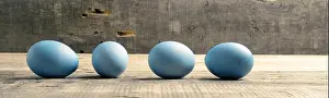Insides Prints: easter egg, easter eggs
