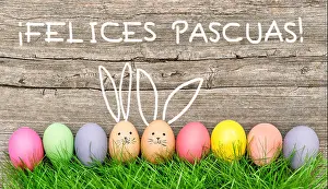Easter Eggs Prints: Easter eggs cute bunny. Funny decoration. ¡Felices Pascuas! - Happy Easter in spanish