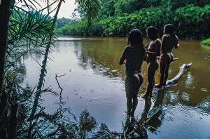 Amazon Rainforest Prints: Ecuador, Orellana, Rio Cononaco